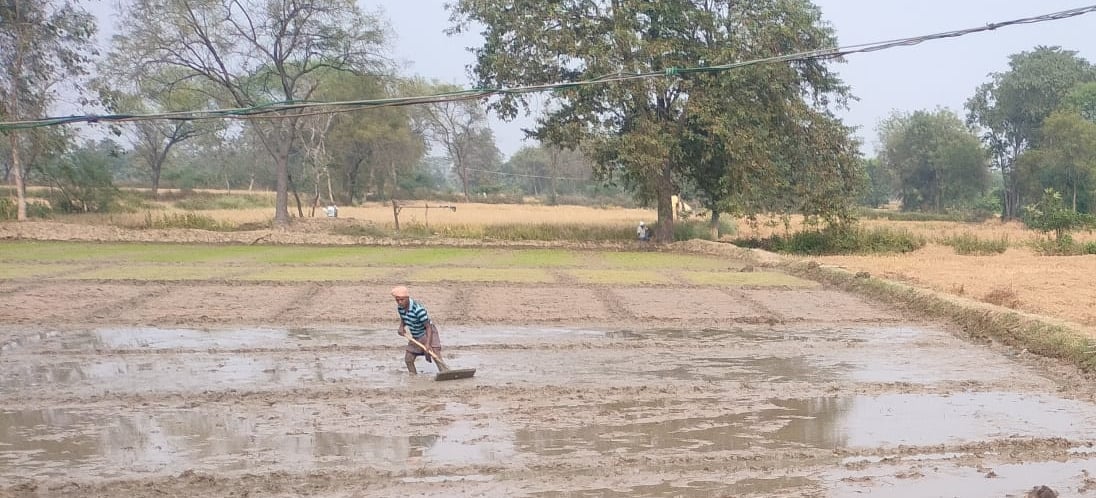 a farmer is working in the field