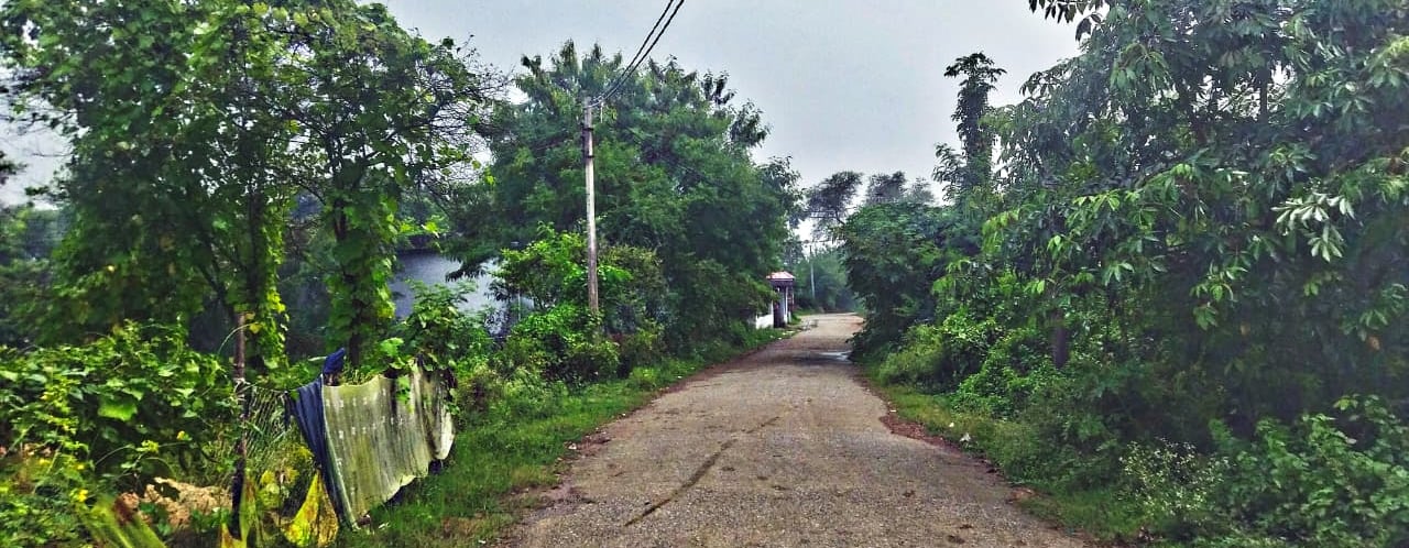 street