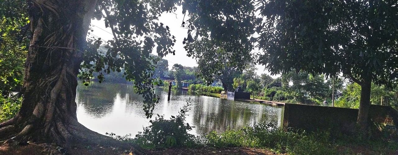 pond