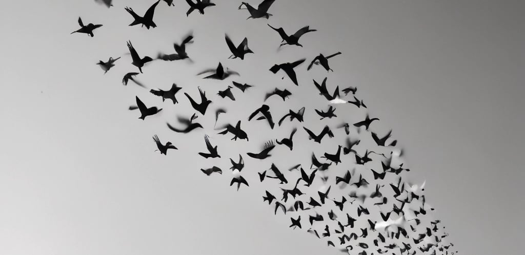 A friendly consultant shaking hands with a retail business owner in a bright office.