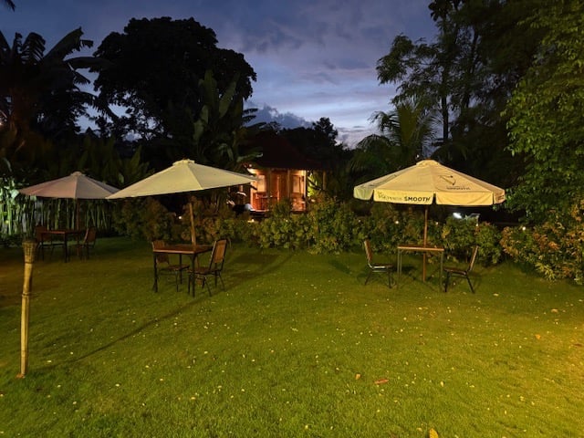 Rigby's lawn