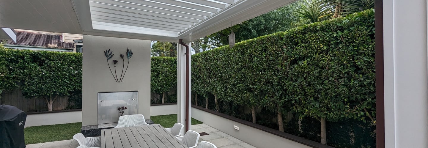 Ficus tuffi hedge with ficus pumila backdrop in this high end gareden in Birkenhead