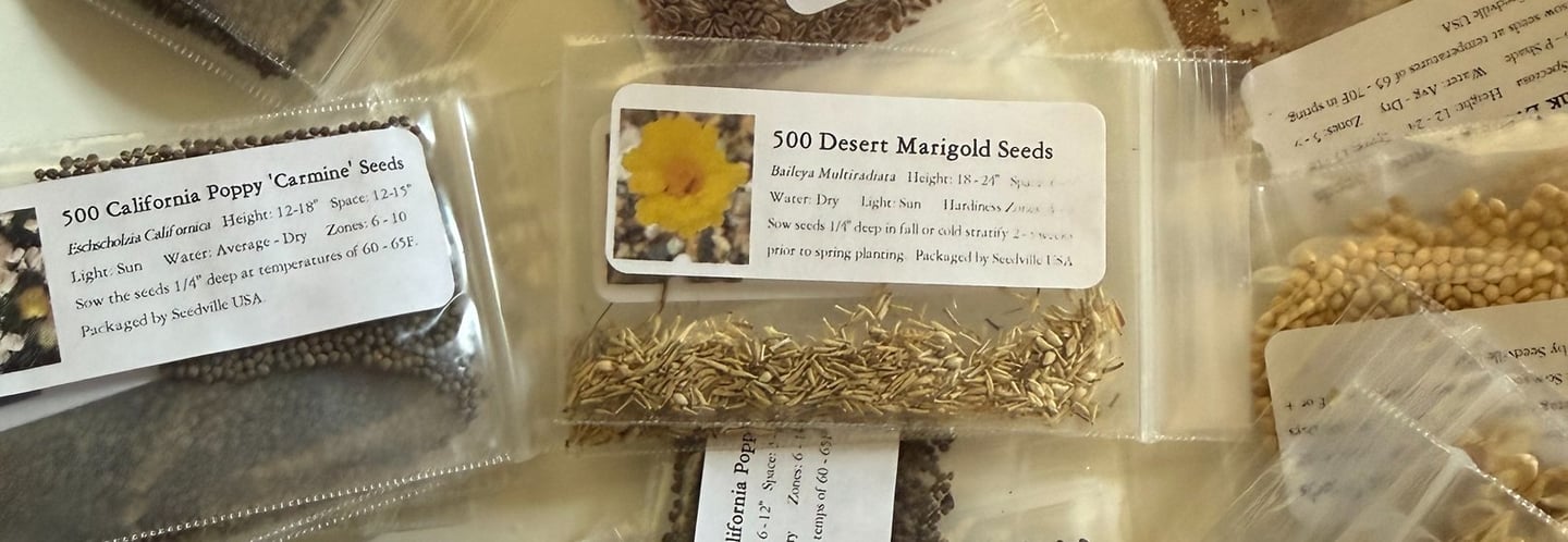 A collection of labeled wildflower seed packets including California Poppy and Desert Marigold for home gardening.