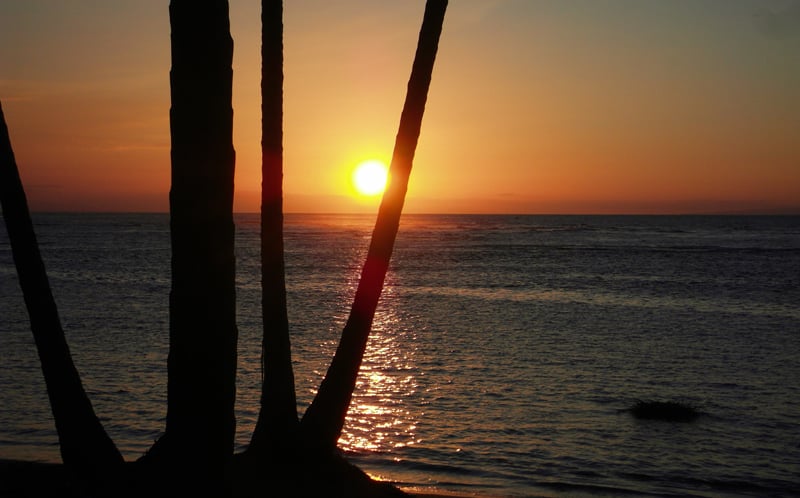 Sunset over sea in Las Terrenas, golden reflection;Atardecer mar Las Terrenas, reflejo dorado