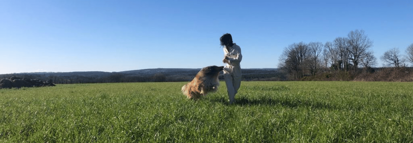 Chien, nature, complicité