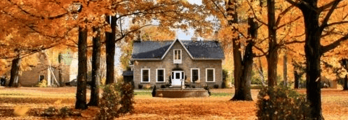 Essential Gutter Tips