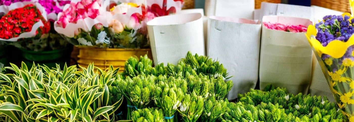 distribuidora de flores en Mistrató