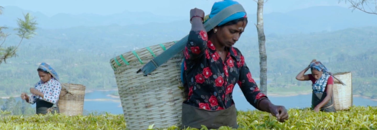 a woman in a hat and a basket basket with a basket on top of it