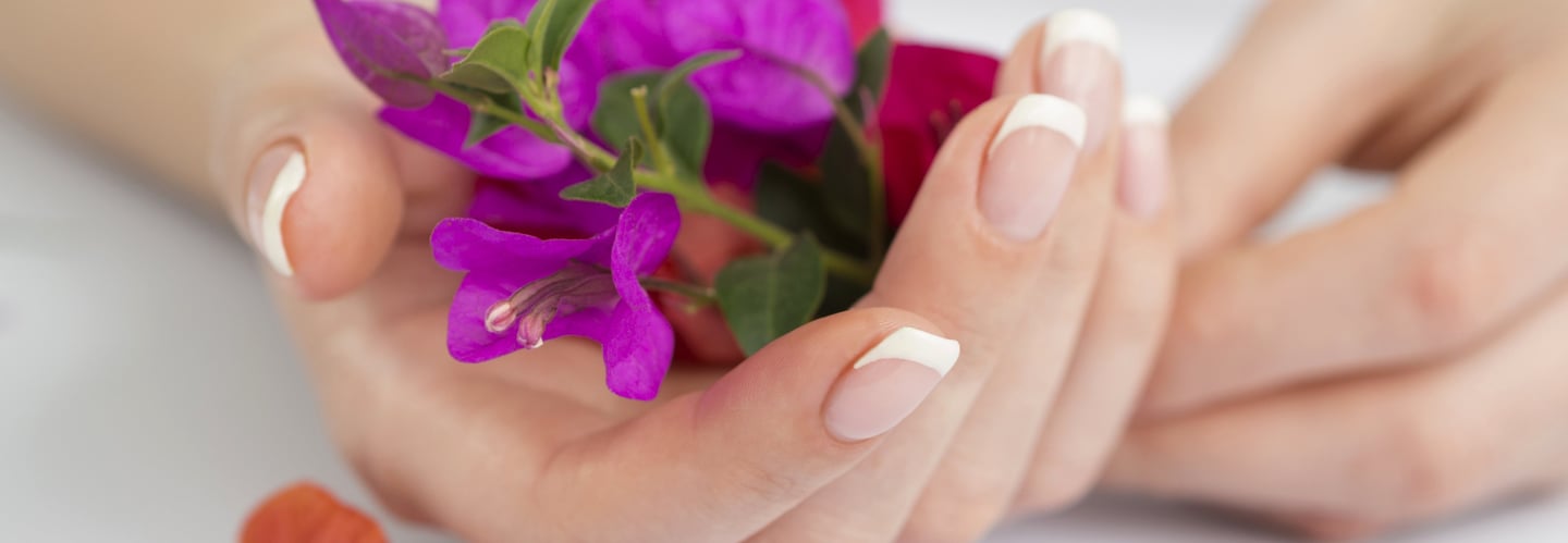 Beautiful Fingers (manicured with French styling) holding a Flower