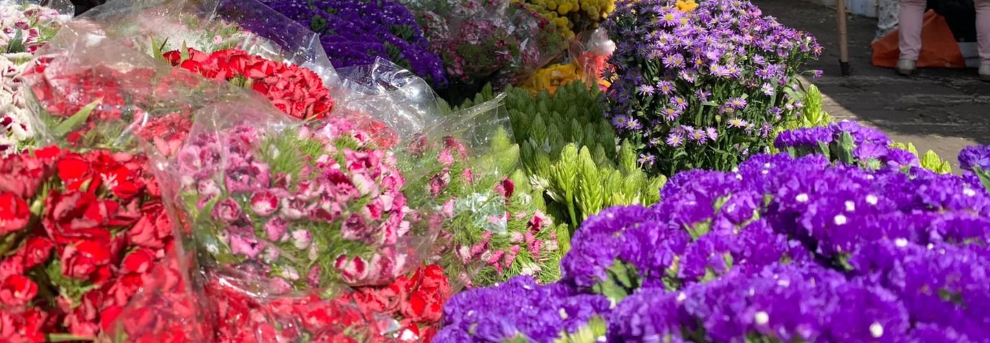 distribuidora de flores en Pereira