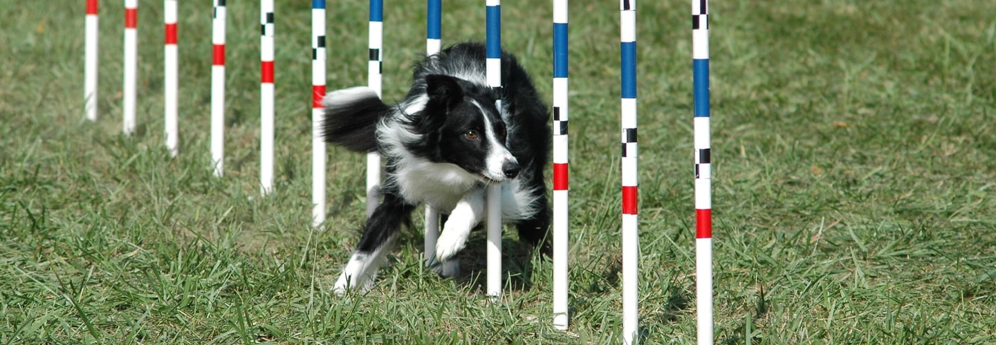 YOU run your business we take care of the rest