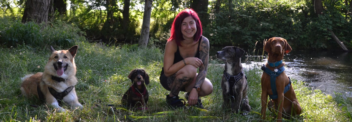 Dogz Erding Mobile Hundeschule