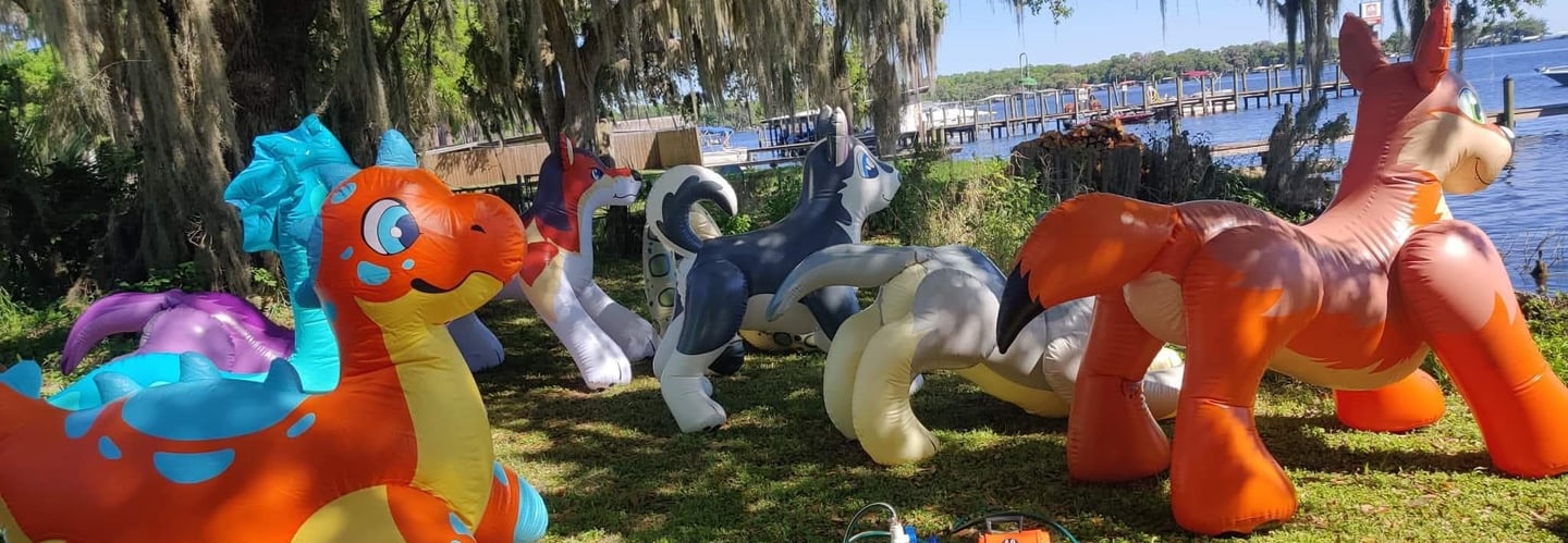 A bunch of Puffy Paws squeaks outside by water