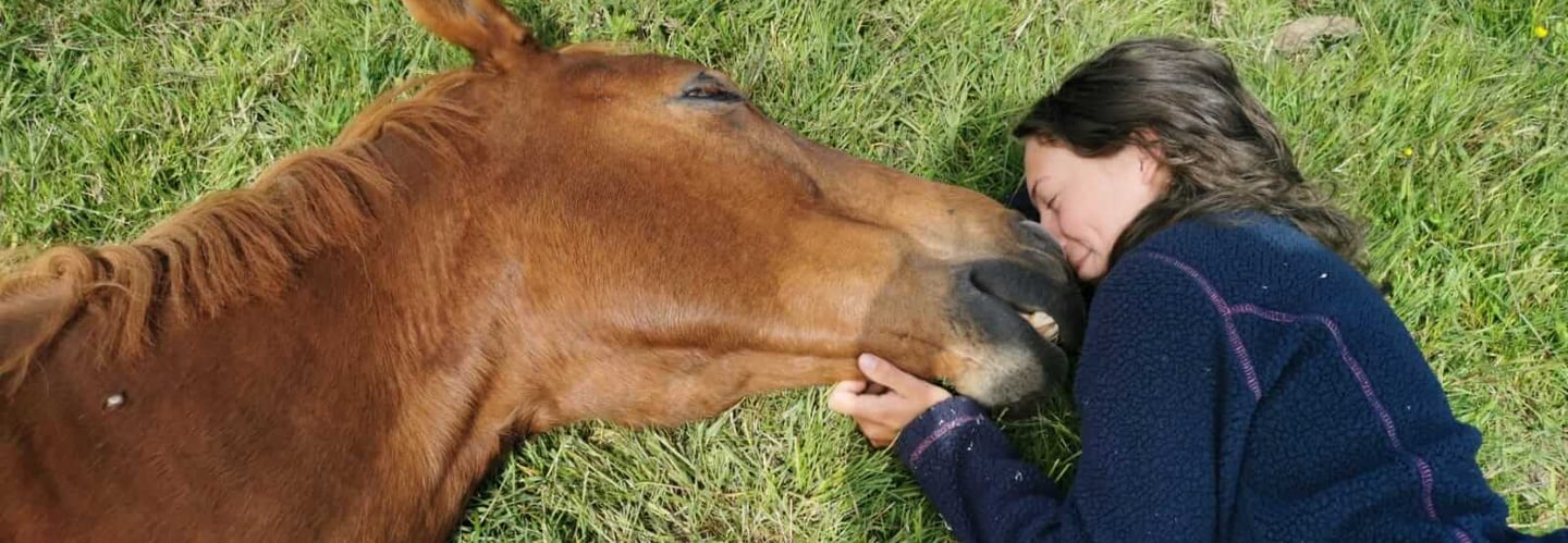 equine physiotherapy 