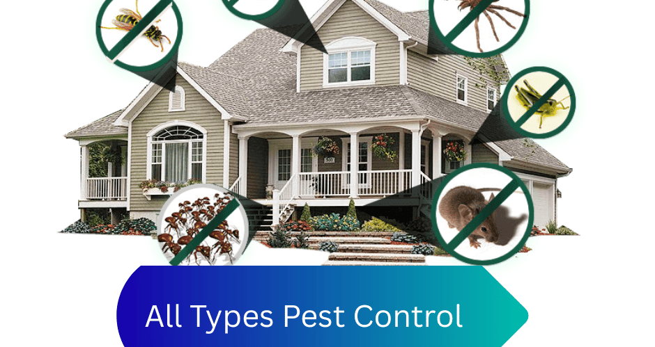 All Types Pest Control Services