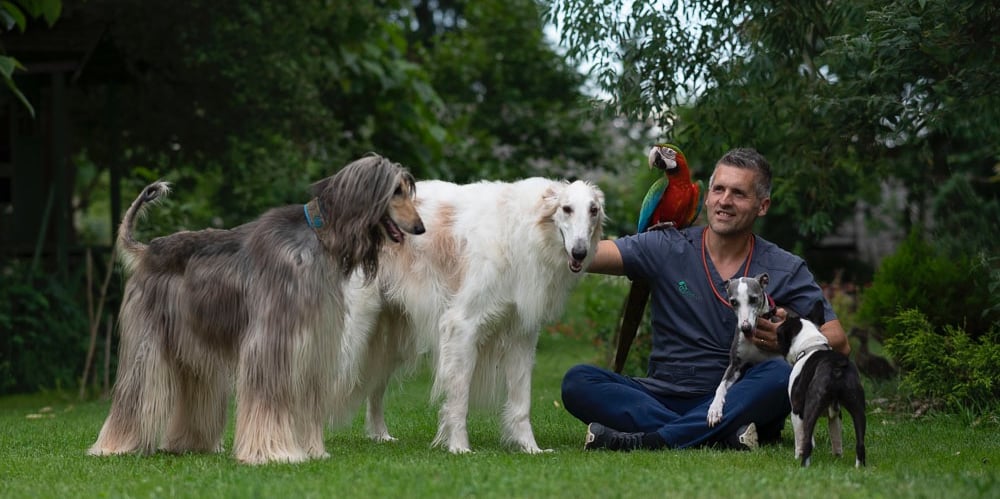 a man sitting on the grass with a parrot and a parrot