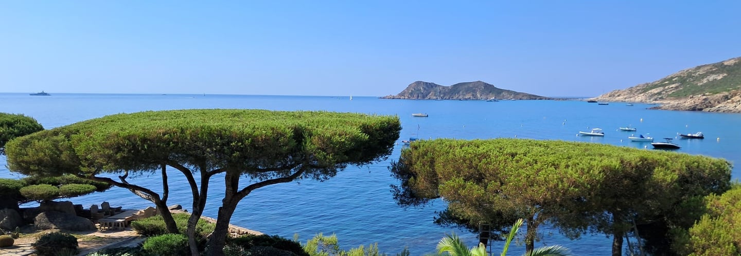 Taille ornementale pins Golfe de Saint Tropez