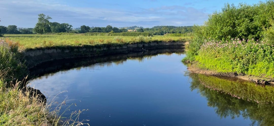 River Teign Newton Abbot