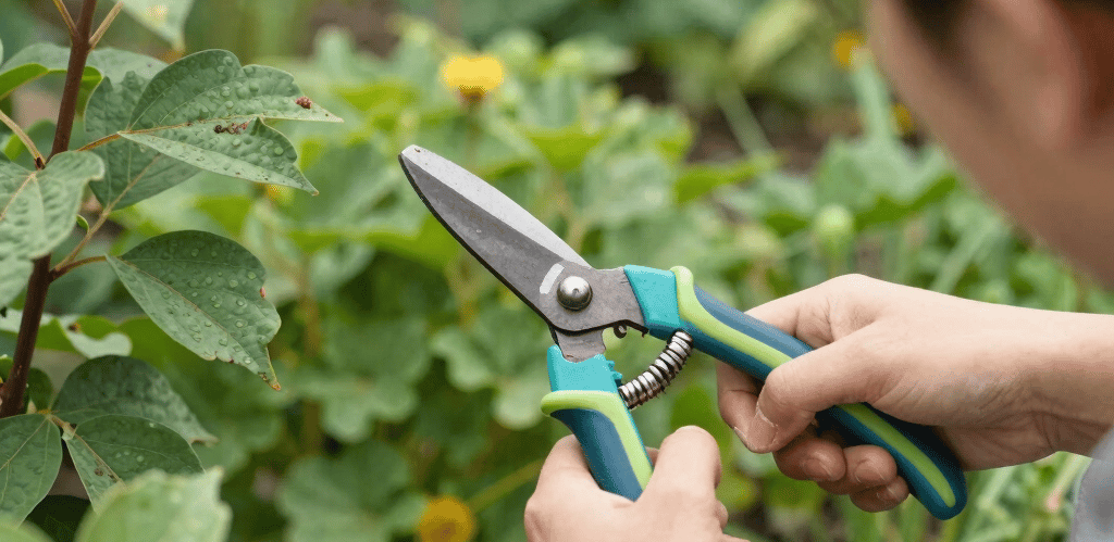 A warm, candid photo of the Fois Eco Green team working together outdoors in a lush garden.