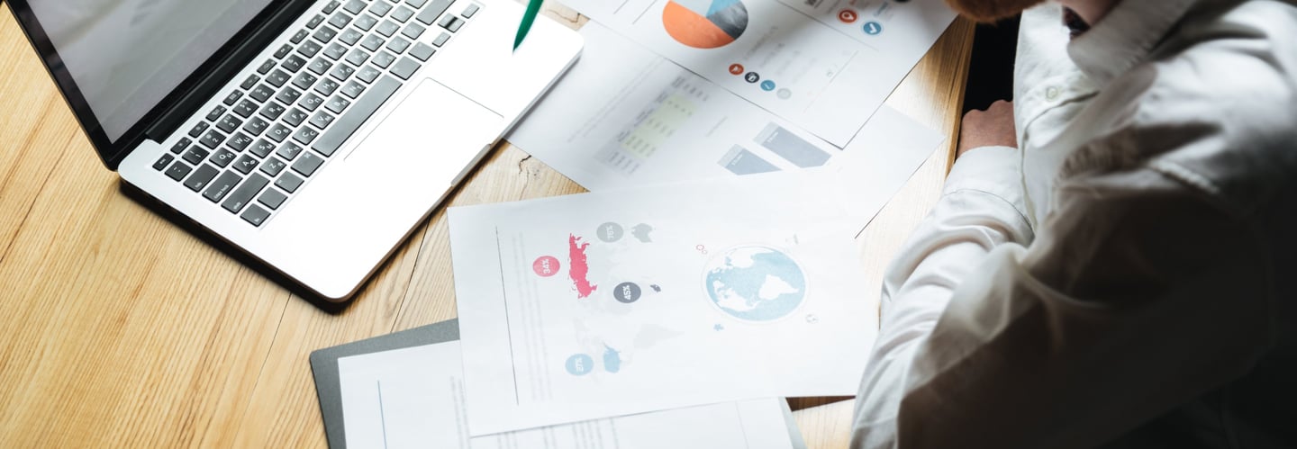 A business professional overviewing reports