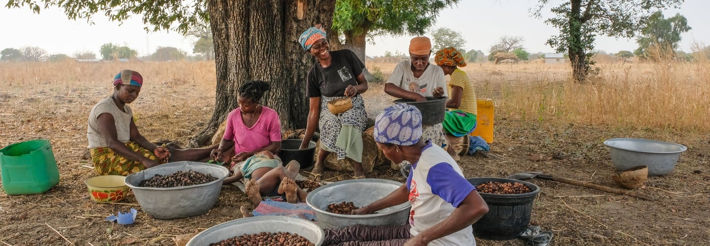 Femmes travaillant de l'amende de karite pour faire du beure de karite