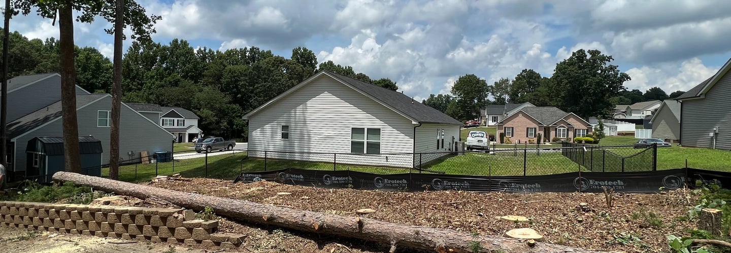 Tree cut with a chainsaw and fallen down
