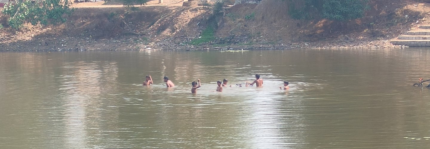 Pond
