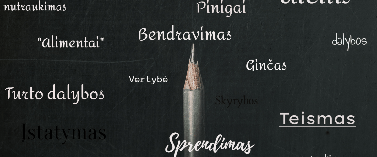 verike gincu sprendimas vaizdinis paveikslas aprasyti teisiniai veiksmai