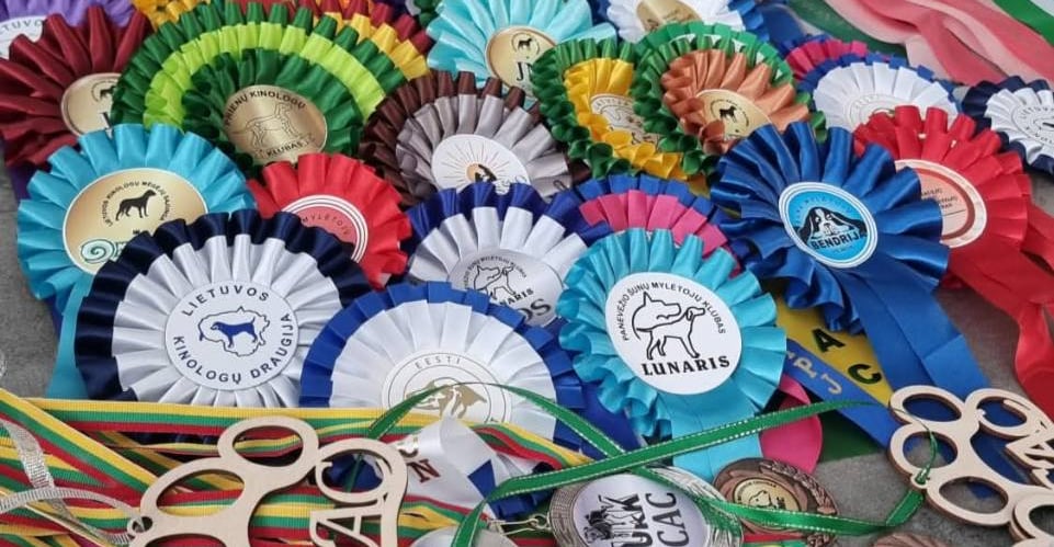 Chinese Crested champion Grakstuole Kennel