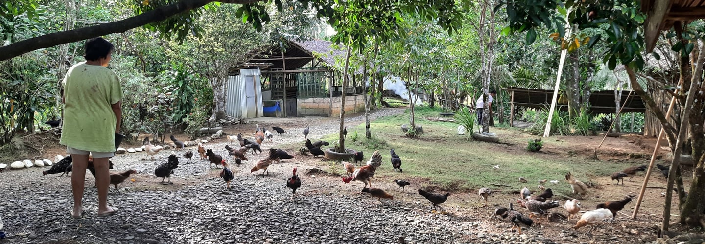 My Mom's past time every morning and in the afternoon.