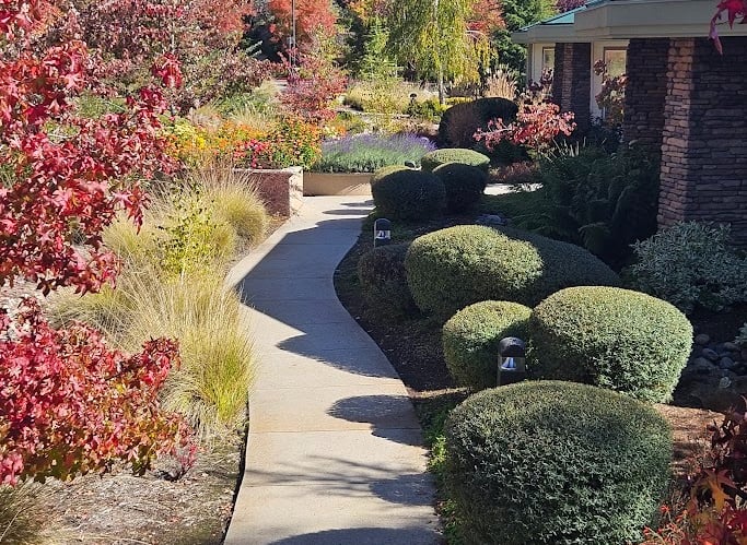 Commerical Landscape Maintenance