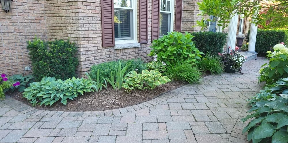 Spring mulching in a clean garden bed with new plantings