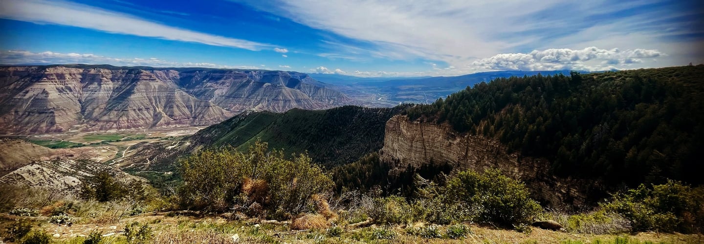 Vegetation Management Consulting in Colorado by Nectagrity