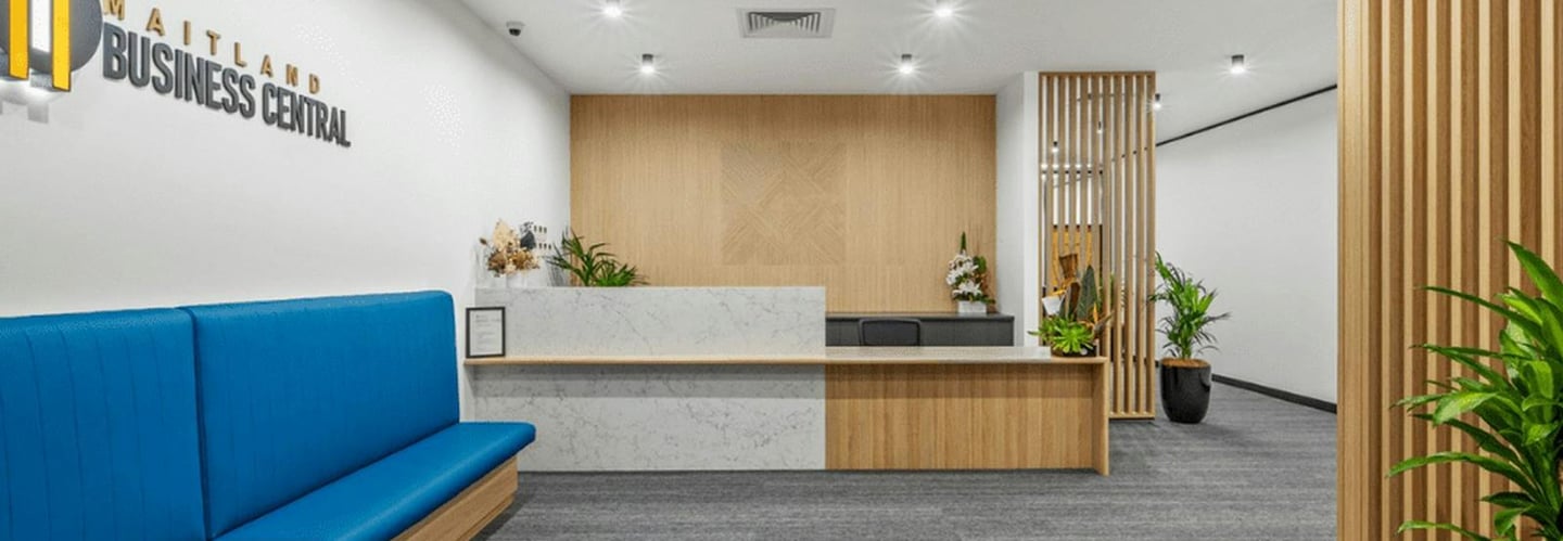 a couch in a room with a couch and a plant