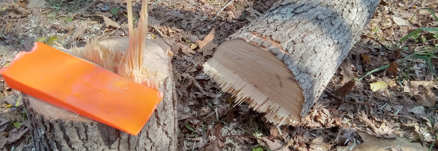 Small and Medium Tree Removal Virginia