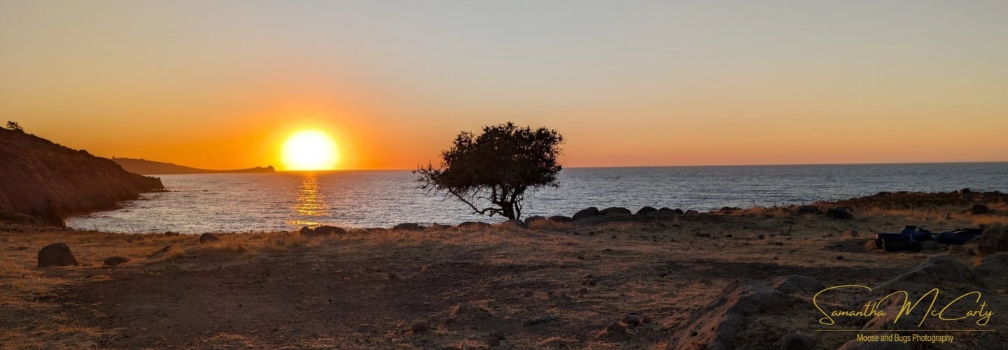 beautiful sunset over the North Aegean Sea with an olive tree in Petra, Greece