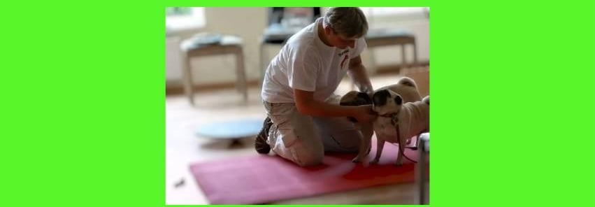 Tierheilpraktiker M.Sikorska mit zwei beigen Mopsen bei Vorführung 