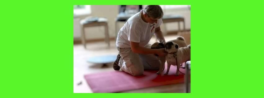 a woman in a white shirt is holding a dog