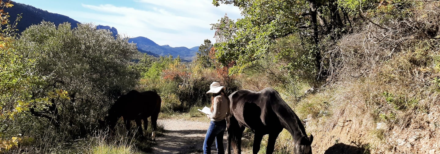 a woman is standing next to a grazing horse in a beautiful mountain landscape, reading a book. 