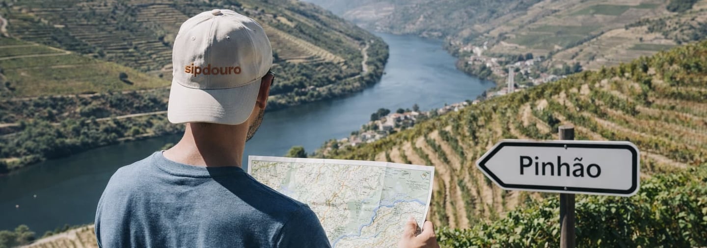 Tour guiado privado pelo Vale do Douro com guia local SipDouro