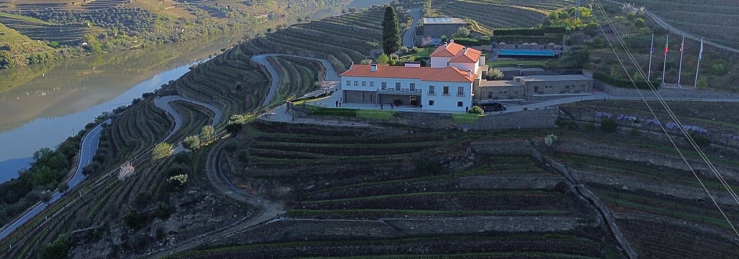 Vista panorâmica do Vale do Douro com vinhas em socalcos e o rio