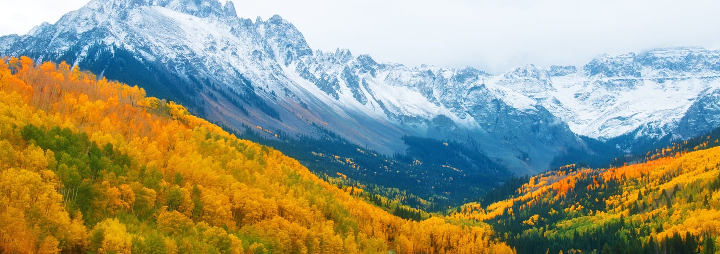 Colorado Center for Public Safety Psychiatry