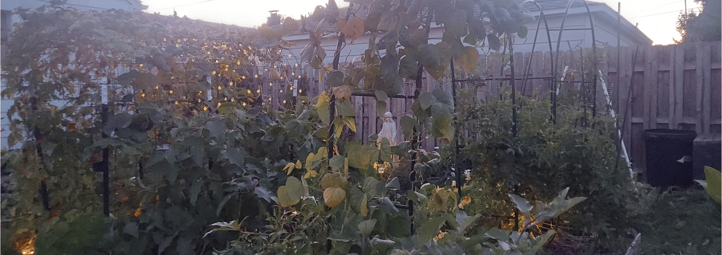 garden inspiration_4