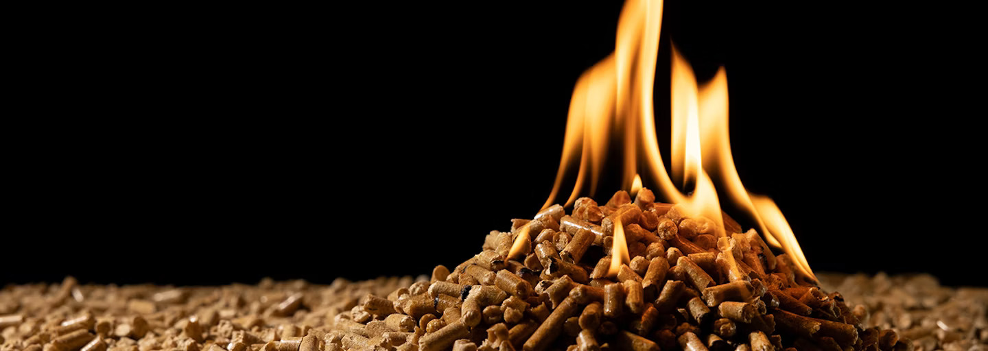 Biomass Pellets