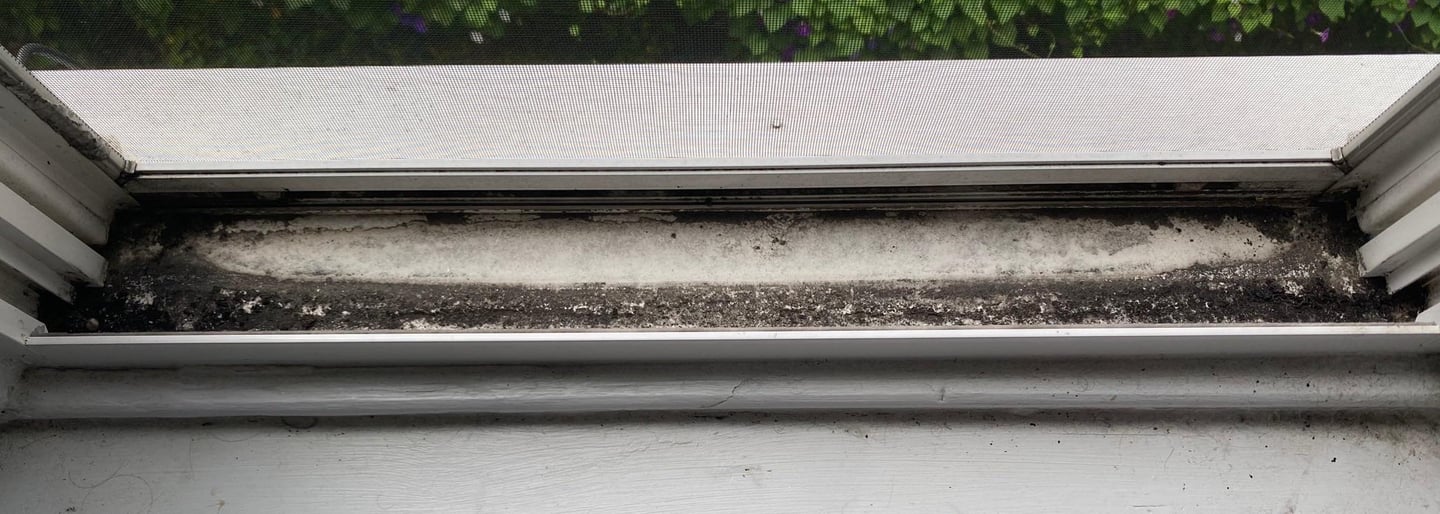 San Antonio's Finest Window Track Detailing - Pristine Tracks for Your Home