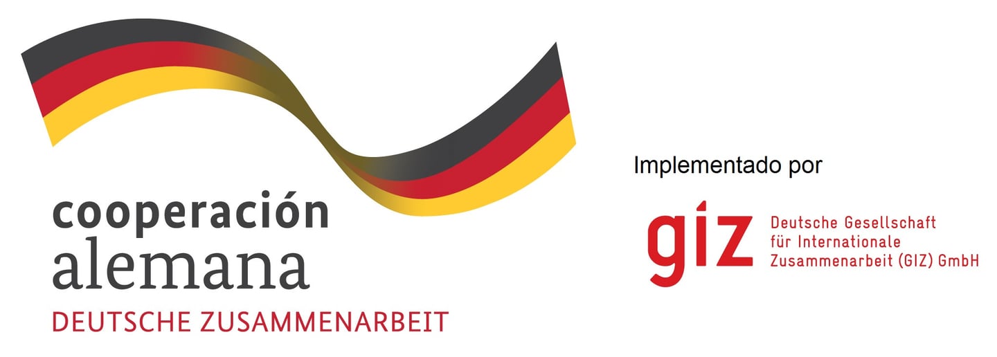 Deutsche Zusammenarbeit. GIZ Logo