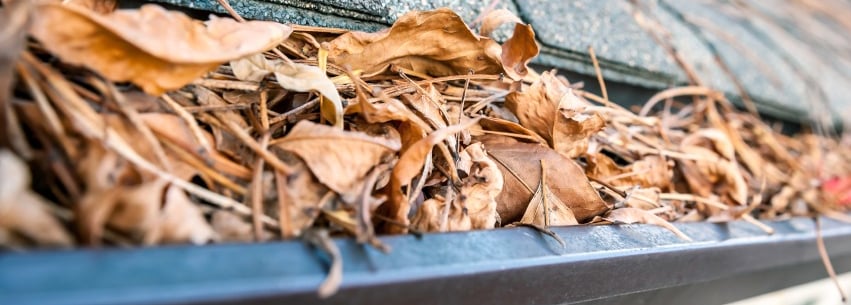 Elegant Restorations Gutter Cleaning