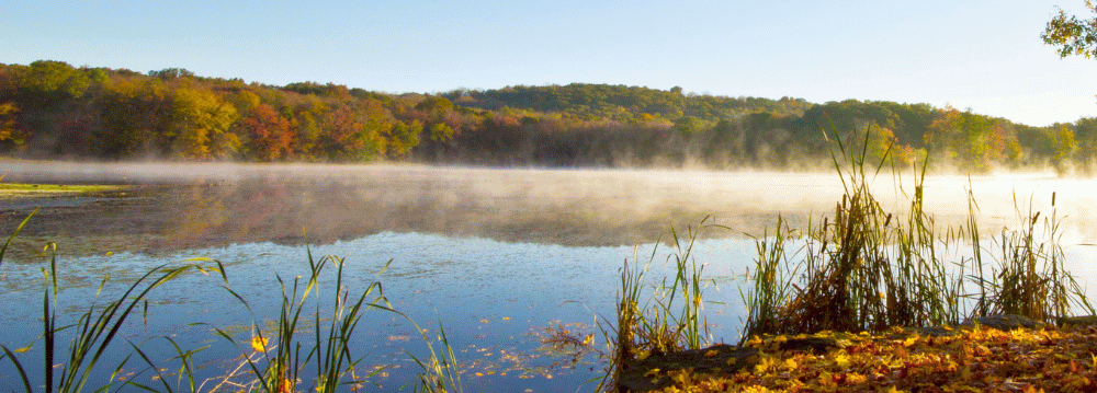 solve the problem of how to be financially free