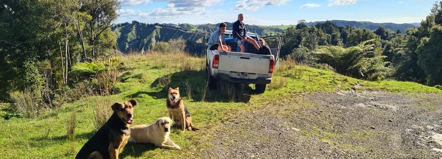 a couple of working dogs sitting in the grass in the mountains of New Zealand