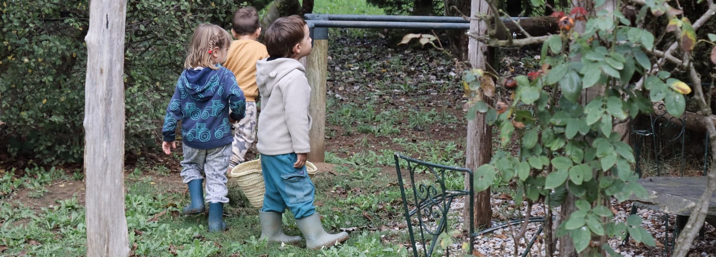 Infants explorant i recollint al jardí de l’escoleta, envoltats de natura i vegetació.